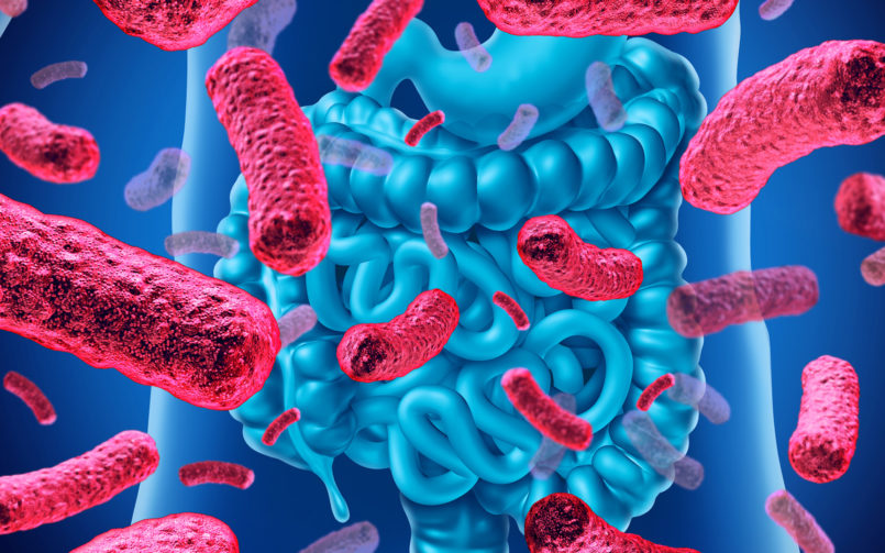 microbiota-intestinale-805×503