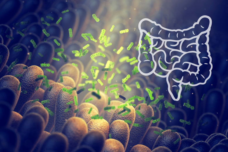 Analisi del microbiota intestinale